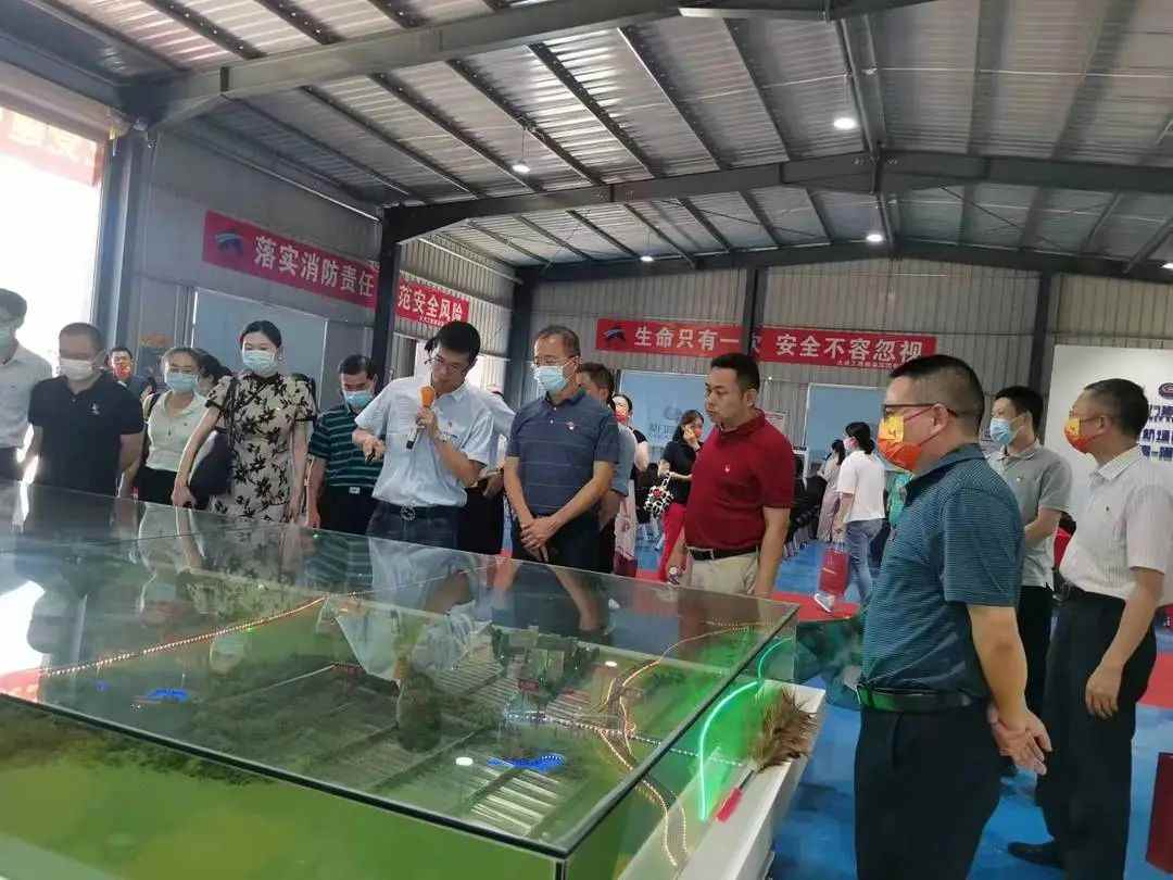 安全生产月|系列专项行动圆满完成