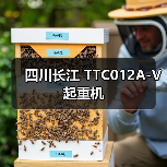 四川长江 TTC012A-V 起重机 四川长江 TTC012A-V 起重机