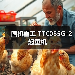 国机重工 TTC055G-2 起重机 国机重工 TTC055G-2 起重机