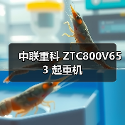 中联重科 ZTC800V653 起重机 中联重科 ZTC800V653 起重机