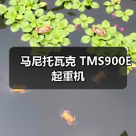 马尼托瓦克 TMS900E 起重机 马尼托瓦克 TMS900E 起重机