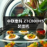 中联重科 ZTC800H5 起重机 中联重科 ZTC800H5 起重机