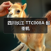 四川长江 TTC008A 起重机 四川长江 TTC008A 起重机