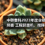 中联重科2023年度业绩预喜 工程起重机、搅拌车热销海外 中联重科2023年度业绩预喜 工程起重机、搅拌车热销海外