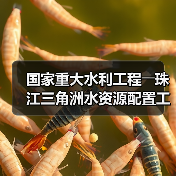 国家重大水利工程――珠江三角洲水资源配置工程正式通水 国家重大水利工程――珠江三角洲水资源配置工程正式通水
