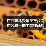 广西隆林委乐至革步高速公路一期工程建成通车 广西隆林委乐至革步高速公路一期工程建成通车