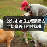 沈阳市建设工程质量安全协会关于团体标准《百年混凝土结构技术标准》立项的公告 沈阳市建设工程质量安全协会关于团体标准《百年混凝土结构技术标准》立项的公告