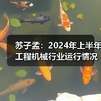 苏子孟:2024年上半年工程机械行业运行情况与BICES 2025展望 苏子孟:2024年上半年工程机械行业运行情况与BICES 2025展望