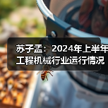 苏子孟:2024年上半年工程机械行业运行情况与BICES 2025展望 苏子孟:2024年上半年工程机械行业运行情况与BICES 2025展望