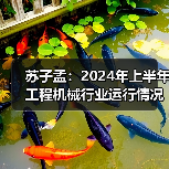 苏子孟:2024年上半年工程机械行业运行情况与BICES 2025展望 苏子孟:2024年上半年工程机械行业运行情况与BICES 2025展望