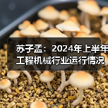 苏子孟:2024年上半年工程机械行业运行情况与BICES 2025展望 苏子孟:2024年上半年工程机械行业运行情况与BICES 2025展望