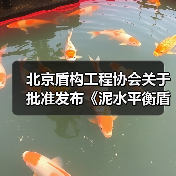 北京盾构工程协会关于批准发布《泥水平衡盾构工程泥浆处理技术标准》团体标准的公告 北京盾构工程协会关于批准发布《泥水平衡盾构工程泥浆处理技术标准》团体标准的公告