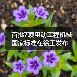 首批7项电动工程机械国家标准在徐工发布 首批7项电动工程机械国家标准在徐工发布