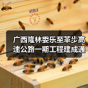 广西隆林委乐至革步高速公路一期工程建成通车 广西隆林委乐至革步高速公路一期工程建成通车