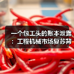 一个包工头的账本泄露:工程机械市场复苏背后的真相 一个包工头的账本泄露:工程机械市场复苏背后的真相