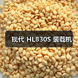 现代 HL830S 装载机 现代 HL830S 装载机