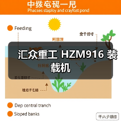汇众重工 HZM916 装载机 汇众重工 HZM916 装载机