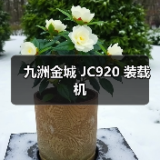 九洲金城 JC920 装载机