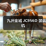 九洲金城 JC956D 装载机 九洲金城 JC956D 装载机