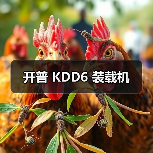 开普 KDD6 装载机 开普 KDD6 装载机