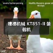 建德机械 KT851-II 装载机 建德机械 KT851-II 装载机