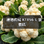 建德机械 KT856-L 装载机 建德机械 KT856-L 装载机
