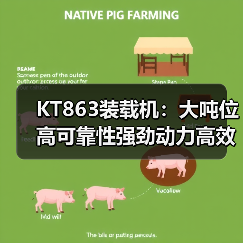 KT863装载机：大吨位高可靠性强劲动力高效作业机械