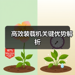 高效装载机关键优势解析 高效装载机关键优势解析
