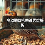 高效装载机关键优势解析 高效装载机关键优势解析