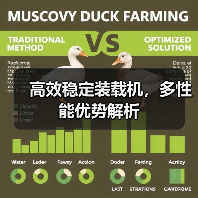 高效稳定装载机,多性能优势解析 高效稳定装载机,多性能优势解析