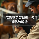 高效稳定装载机,多性能优势解析 高效稳定装载机,多性能优势解析