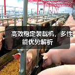 高效稳定装载机,多性能优势解析 高效稳定装载机,多性能优势解析