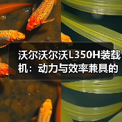 沃尔沃尔沃L350H装载机：动力与效率兼具的作业利器