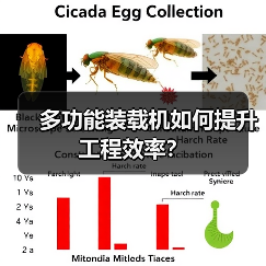 多功能装载机如何提升工程效率? 多功能装载机如何提升工程效率?