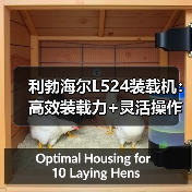 利勃海尔L524装载机:高效装载力+灵活操作,低维护成本优势解析 利勃海尔L524装载机:高效装载力+灵活操作,低维护成本优势解析