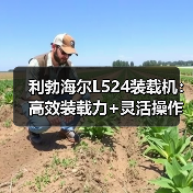 利勃海尔L524装载机:高效装载力+灵活操作,低维护成本优势解析 利勃海尔L524装载机:高效装载力+灵活操作,低维护成本优势解析