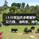 L538装载机参数解析:动力强、油耗低、操作灵活怎么选? L538装载机参数解析:动力强、油耗低、操作灵活怎么选?