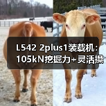 L542 2plus1装载机:105kN挖掘力+灵活操控,如何高效应对复杂工况? L542 2plus1装载机:105kN挖掘力+灵活操控,如何高效应对复杂工况?