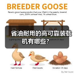省油耐用的高可靠装载机有哪些? 省油耐用的高可靠装载机有哪些?