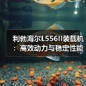 利勃海尔L556II装载机：高效动力与稳定性能如何满足工程需求？