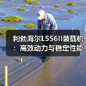 利勃海尔L556II装载机：高效动力与稳定性能如何满足工程需求？