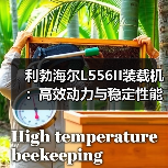 市场监管总局发布通知 加快推动起重机等特种设备更新