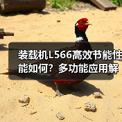 装载机L566高效节能性能如何？多功能应用解析