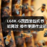 L68K-G国四装载机节能高效 操作便捷作业能力强 L68K-G国四装载机节能高效 操作便捷作业能力强