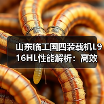 山东临工国四装载机L916HL性能解析：高效作业与稳定耐用如何兼得？