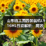 山东临工国四装载机L916HL性能解析：高效作业与稳定耐用如何兼得？