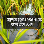 国四装载机L956HL高效节能怎么选