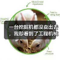 一台挖掘机都没卖出去，我却看到了工程机械市场复苏的信号