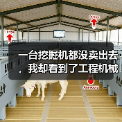 一台挖掘机都没卖出去，我却看到了工程机械市场复苏的信号