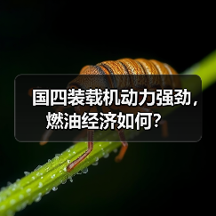 国四装载机动力强劲，燃油经济如何？